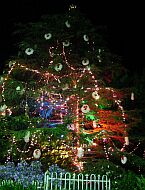23 Dec 2001