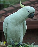 8 Jan 2002